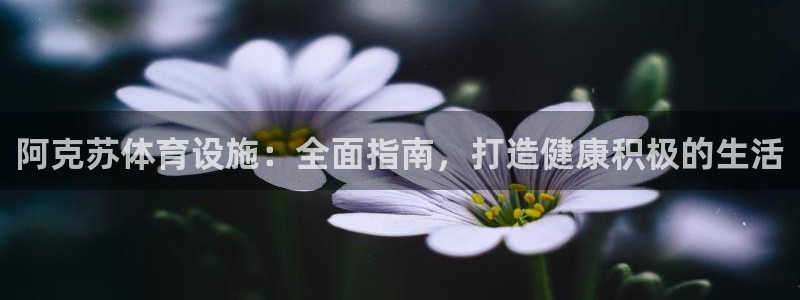 意昂3集团E.ON：阿克苏体育设施：全面指南，打造健