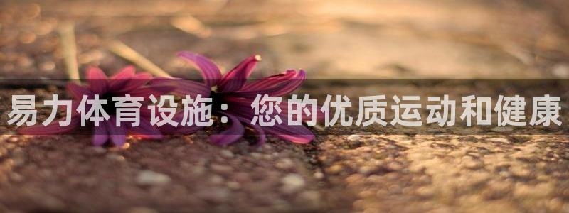 意昂3集团E.ON：易力体育设施：您的优质运动和健康