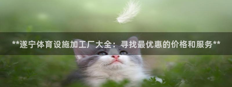 意昂体育3招商电话地址查询：**遂宁体育设施加工厂大