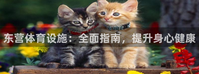 意昂体育3娱乐：东营体育设施：全面指南，提升身心健康