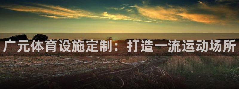 意昂体育3招商电话号码是多少：广元体育设施定制：打造