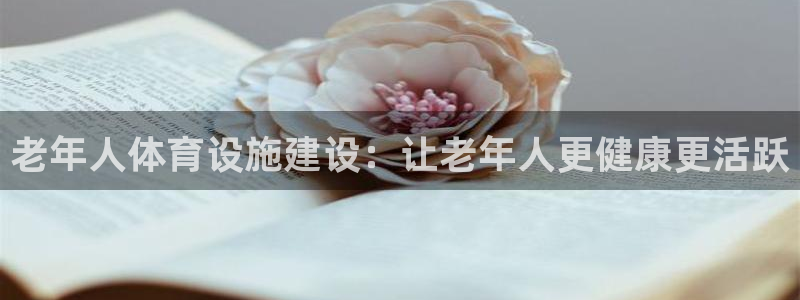 意昂体育3平台APP：老年人体育设施建设：让老年人更