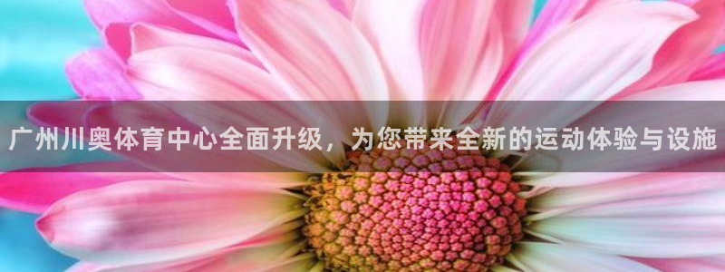 意昂3官网