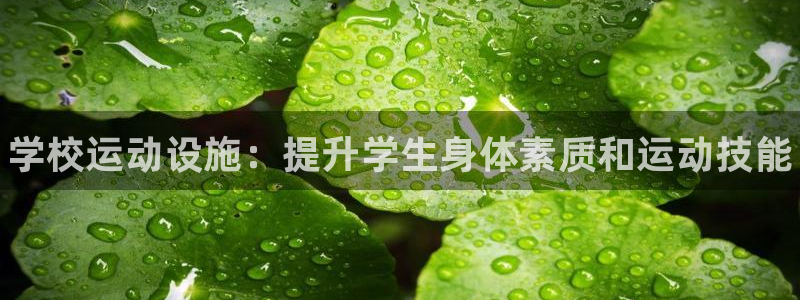 意昂3娱乐首页官网下载：学校运动设施：提升学生身体素质和运动 