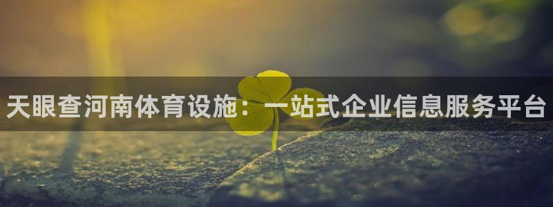 意昂体育3是干嘛的公司：天眼查河南体育设施：一站式企业信息服