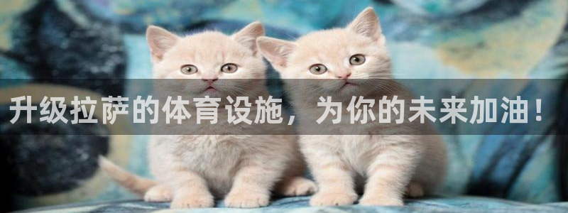 意昂3集团官网首页：升级拉萨的体育设施，为你的未来加油！