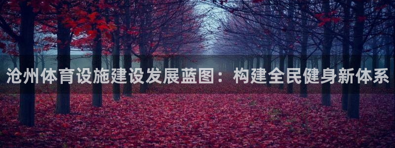 意昂体育3招商电话号码是多少：沧州体育设施建设发展蓝图：构建