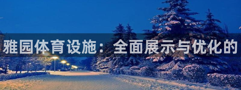 意昂体育3招商电话号码查询：雅园体育设施：全面展示与优化的