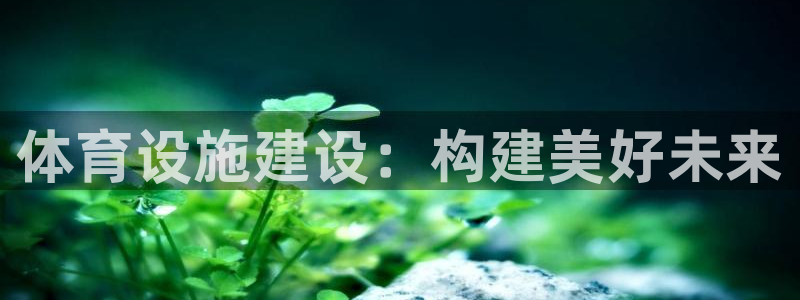 意昂体育3平台注册要钱吗：体育设施建设：构建美好未来