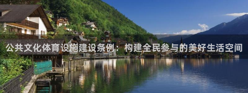 意昂体育3平台假的吗是真的吗：公共文化体育设施建设条例：构建