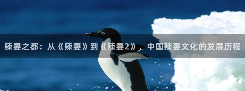 急先锋天狼影院：辣妻之都：从《辣妻》到《辣妻2》，中国辣妻文化的发展历程