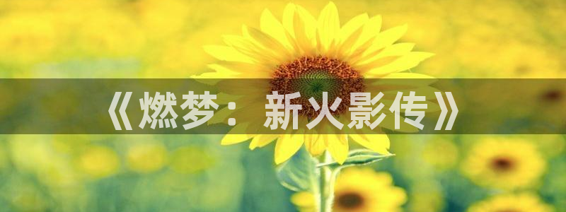 天狼星电影：《燃梦：新火影传》