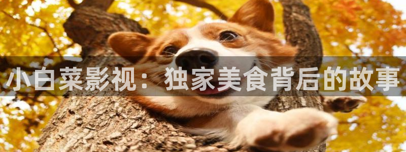 天狼免费高清在线观看：小白菜影视：独家美食背后的故事