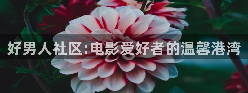年轻的母亲天狼影院：好男人社区:电影爱好者的温馨港湾