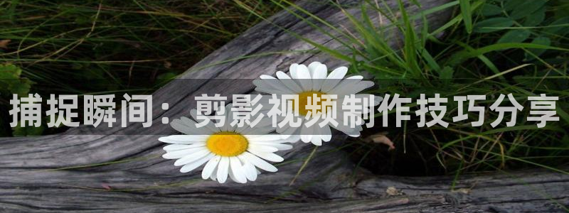 天狼影视网：捕捉瞬间：剪影视频制作技巧分享