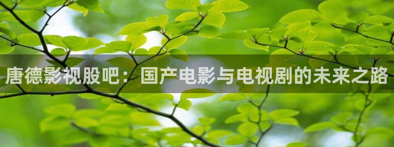 天狼影院电视剧2021：唐德影视股吧：国产电影与电视剧的未来之路
