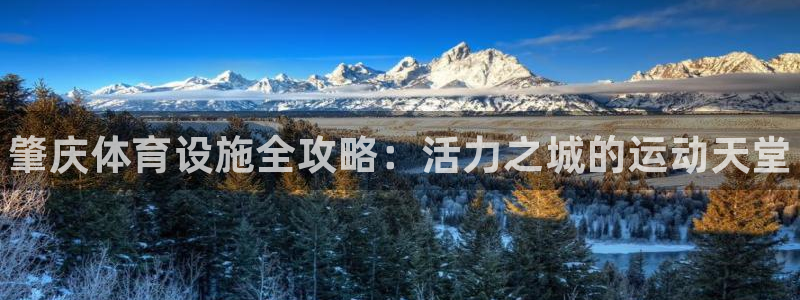 意昂体育3招商电话号码：肇庆体育设施全攻略：活力之城