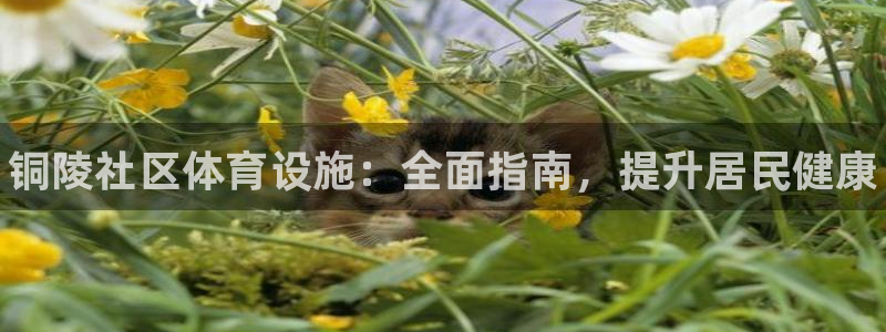 意昂体育3招商电话是多少号码：铜陵社区体育设施：全面