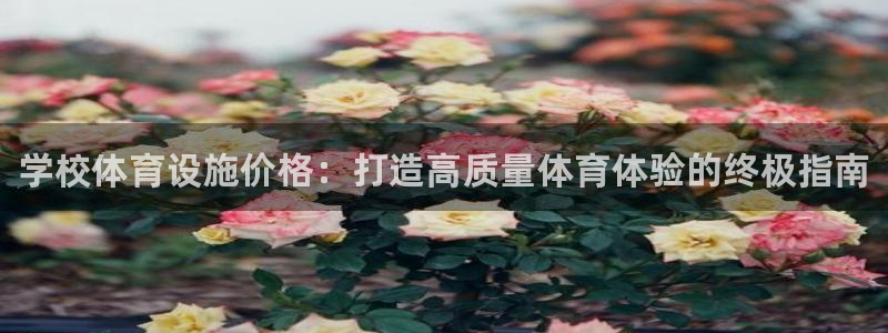 意昂体育3招商电话地址是多少：学校体育设施价格：打造