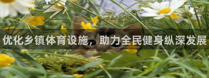 德国意昂3集团：优化乡镇体育设施，助力全民健身纵深发