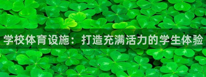 意昂3代理：学校体育设施：打造充满活力的学生体验