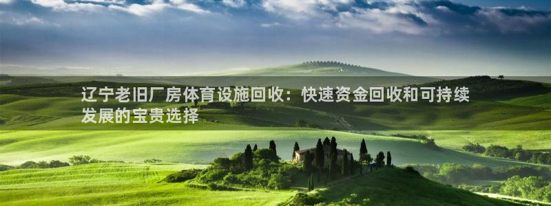 意昂3娱乐：辽宁老旧厂房体育设施回收：快速资金回收和可持续
