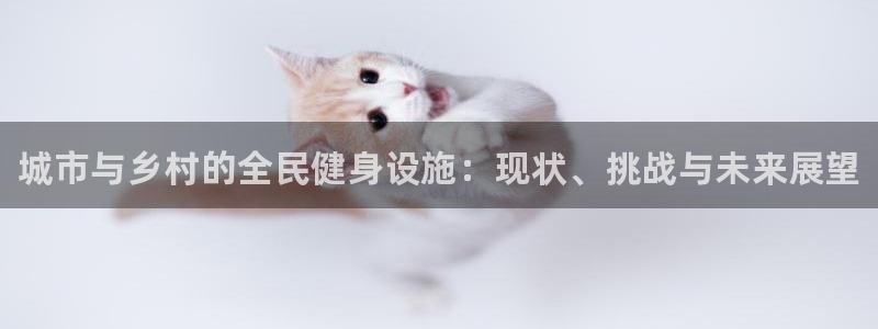 意昂体育3招商：城市与乡村的全民健身设施：现状、挑战与未来展 