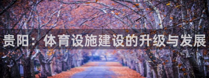 意昂体育3联系电话：贵阳：体育设施建设的升级与发展