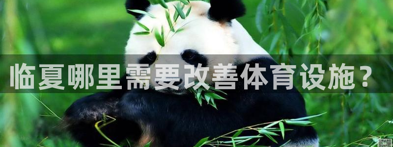 意昂体育3平台注册要钱吗安全吗：临夏哪里需要改善体育